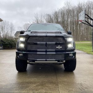 2016 Ford Shelby F-150