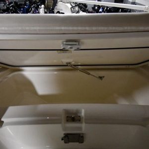 2022 Boston Whaler 250 Dauntless