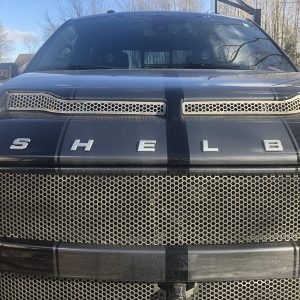 2016 Ford Shelby F-150