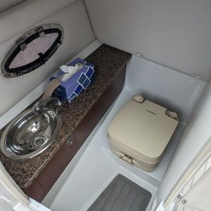 2019 Crownline E255 SURF