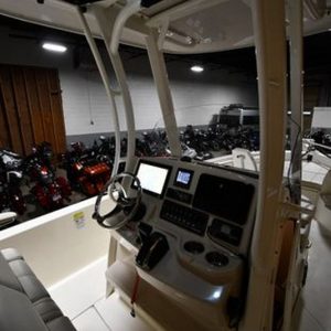 2022 Boston Whaler 250 Dauntless