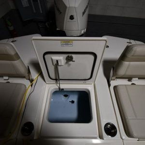 2022 Boston Whaler 250 Dauntless