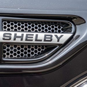 2019 Ford Shelby F-150 4×4