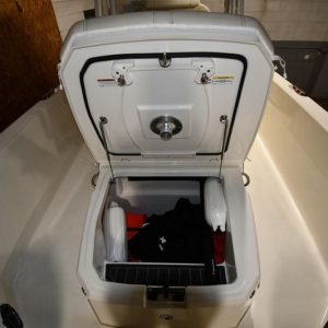 2022 Boston Whaler 250 Dauntless