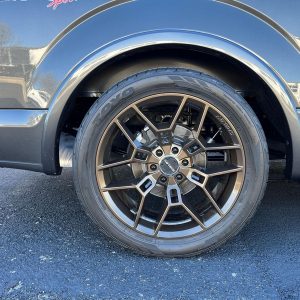 2020 Ford F-150 Shelby Super Snake Sport